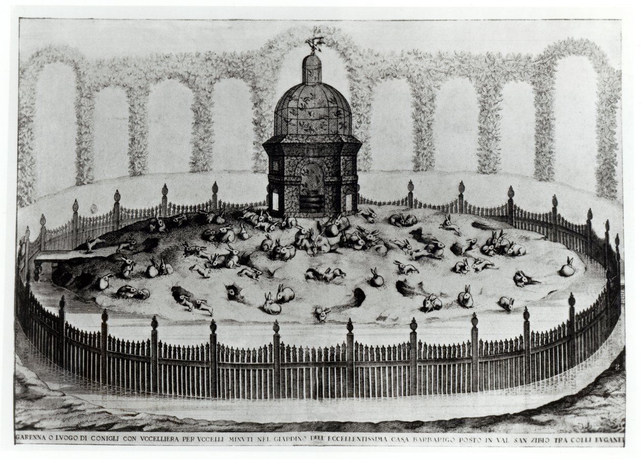 Conejera con un aviario para pájaros pequeños, de Le Fabbriche e i Giardini dellEcc. Casa Barbariga, por D. Rossetti, grabado por G. Campana, publicado en 1702 de Italian School