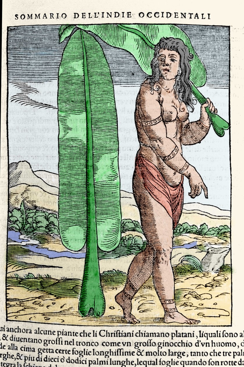 Un nativo de las Indias Occidentales junto a una hoja de tabaco. Grabado del libro 