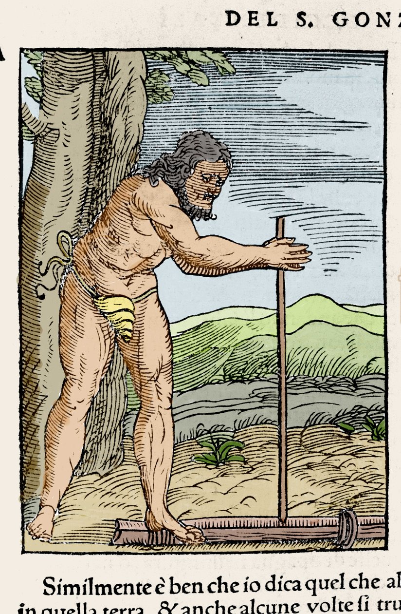 Un hombre nativo encendiendo un fuego frotando dos piezas de madera. Grabado de “Navigationi and Viaggi” de Giovanni Battista Ramusio (1485-1557), vol. III, Venecia 1565 de Italian School
