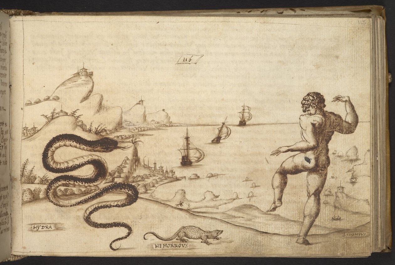 Agregar. 82955, f.115 Serpiente (