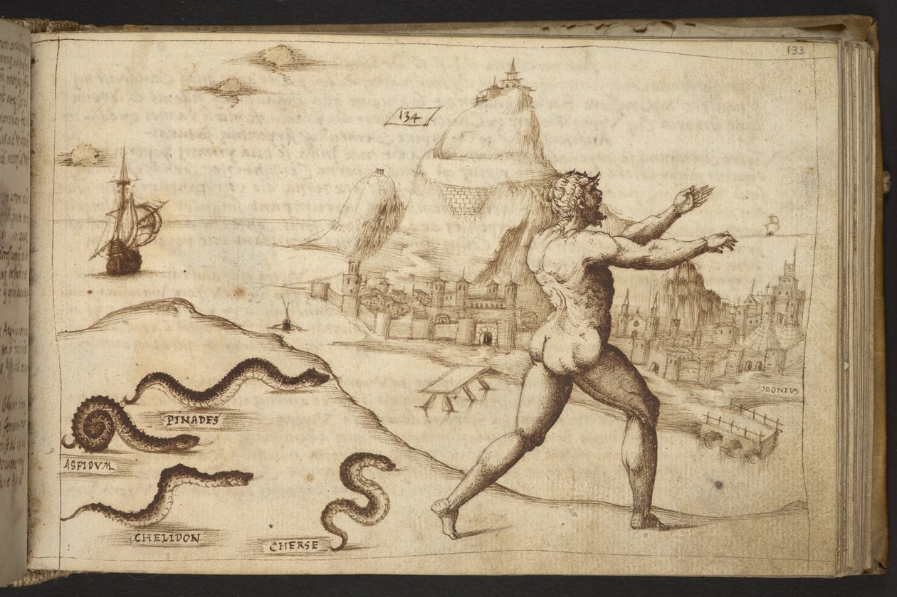 Agregar. 82955, f.133   Serpientes persiguiendo una figura humana.  , de Historia Animalium, (que consta de 245 dibujos a pluma y tinta de diferentes especies de animales y criaturas míticas, cada uno acompañado de una descripción).    1595 de Italian School