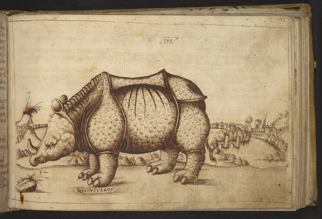Agregar. 82955, f.172 Rinoceronte., de Historia Animalium de Italian School