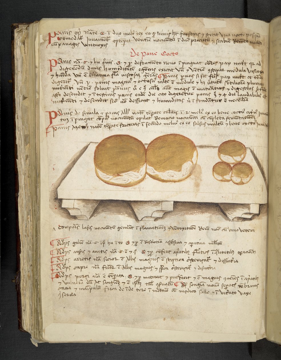 Añadir MS 41623 f.124v De Pane, de "A herbal", Belluno (tinta y color sobre vitela) de Italian School