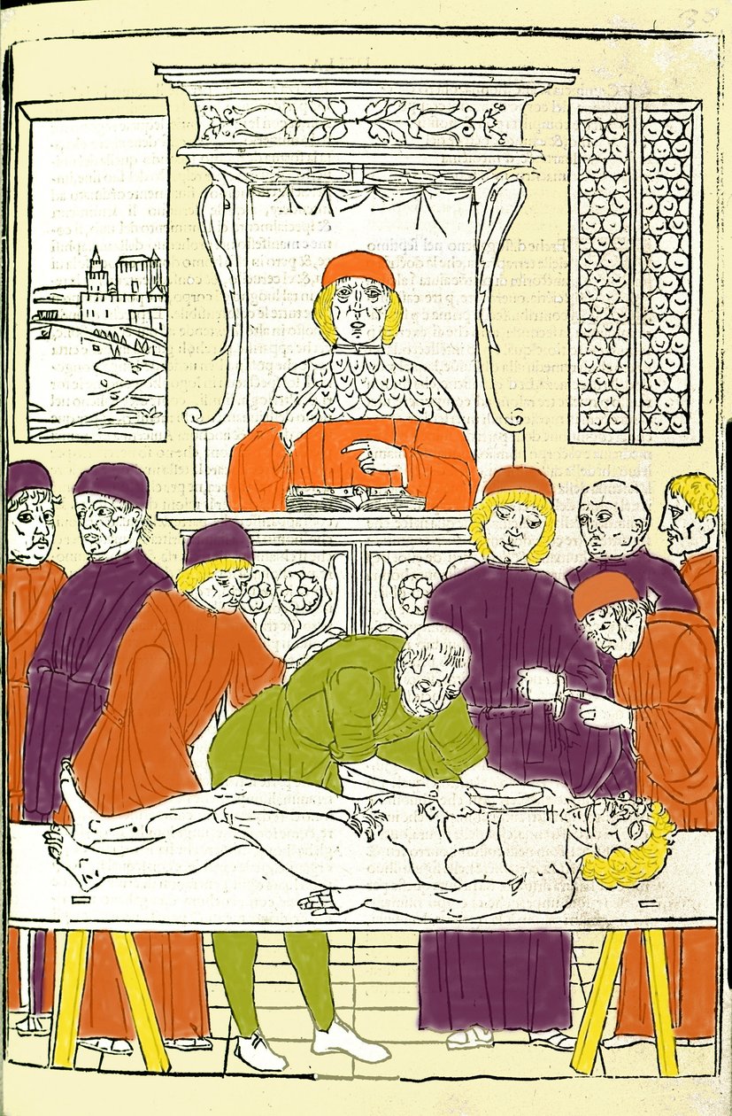 Disección anatómica. Grabado de un Tratado de Medicina por Gerolamo Cardano (Cardano) (Cardanus Hieronymus), Florencia de Italian School