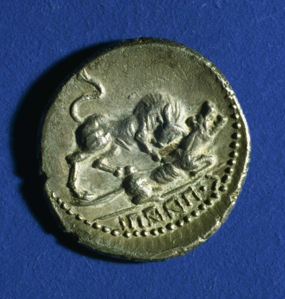 Moneda de las tribus itálicas mostrando un toro atacando a la loba romana, 89-90 a.C. de Italian School