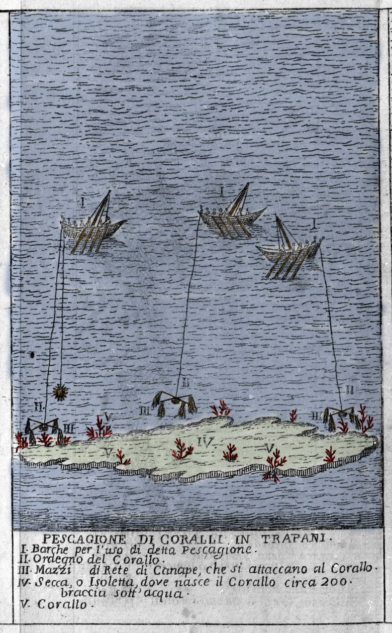 Pesca de coral en el Golfo de Trapani en Sicilia, una representación de pequeñas islas submarinas donde se forman barriles de coral. Grabado de “Stato Presente della Sicilia” por Arcangelo Leanti, Palermo 1761 de Italian School