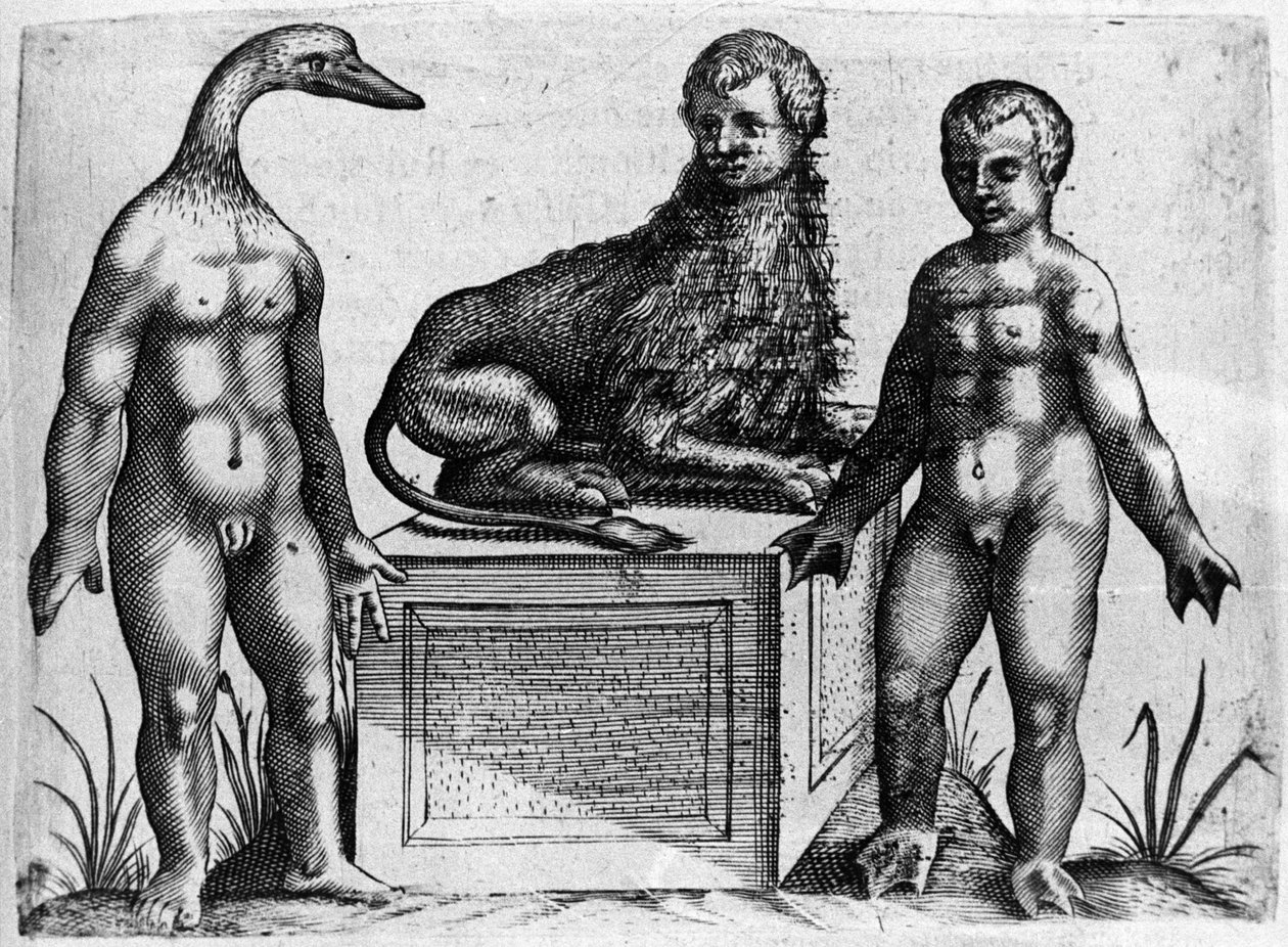 Diferentes tipos de monstruos humanos: un hombre con cabeza de pato, un hombre con cuerpo de león y otro con manos de palma. Grabado de “De monstrorum natura, causis et differentiis” de Fortunio Liceti (1577-1656), científico italiano. 1646 de Italian School