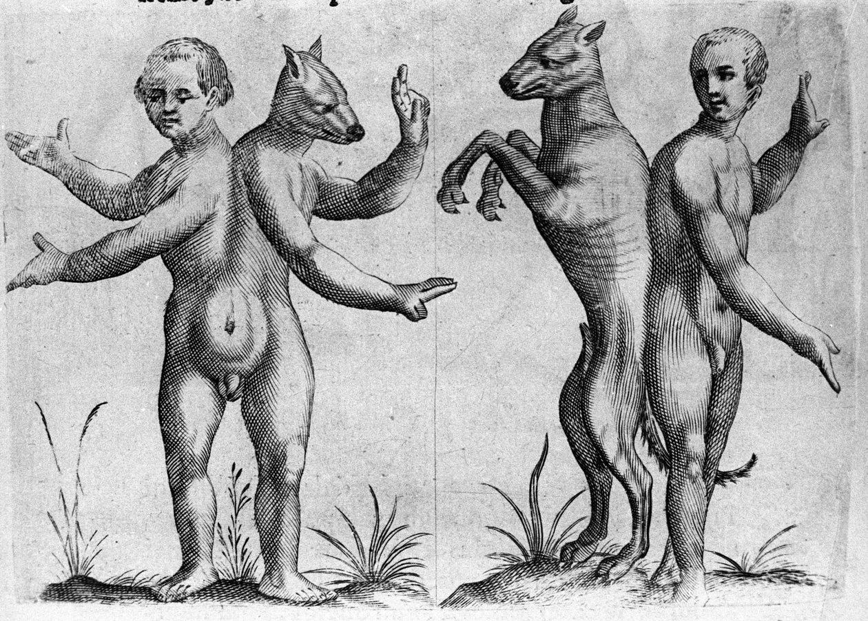 Diferentes tipos de monstruos humanos: dos criaturas con cuerpos dobles, mitad hombre y perro (siameses). Grabado de “De monstrorum natura, causis et differentiis” de Fortunio Liceti (1577-1656), científico italiano. 1646 de Italian School