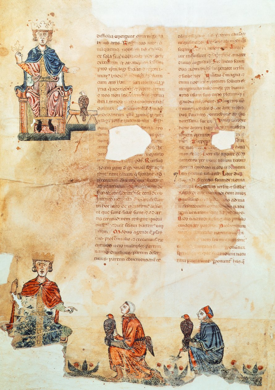 Emperador Federico II de Hohenstaufen, ilustración de 