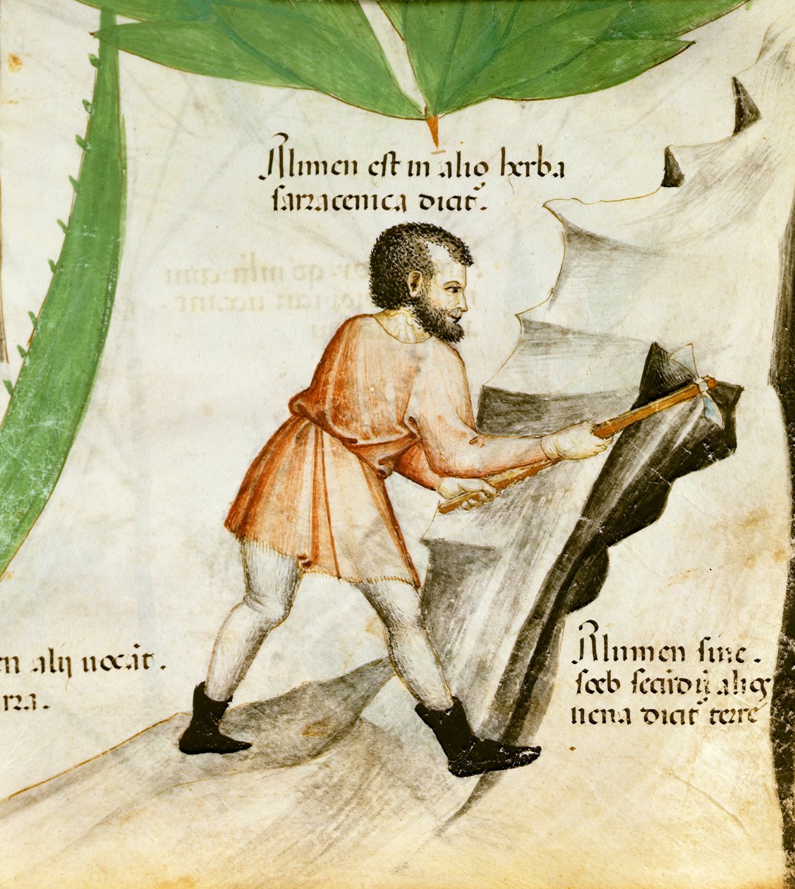 Extrayendo alumbre, c.1440 (litografía en color) de Italian School