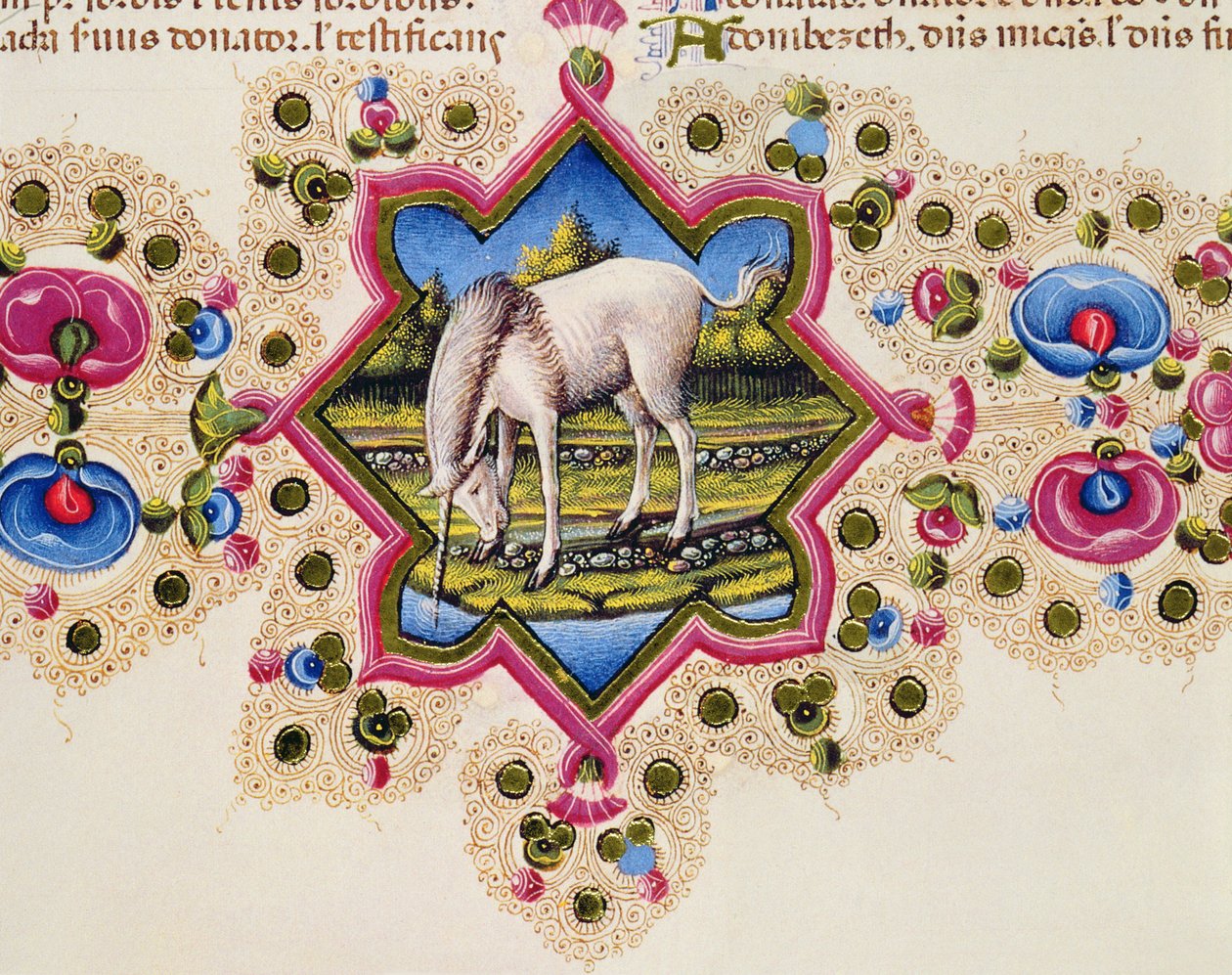 Fol.245V Un unicornio, de la Biblia de Borso d