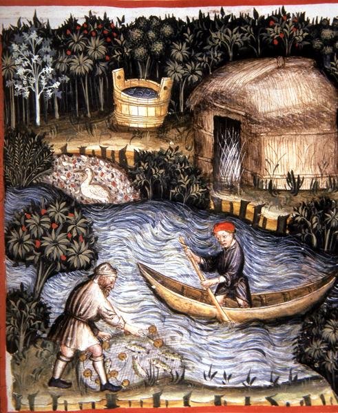 Fol.82r Pescado fresco, ilustración de 