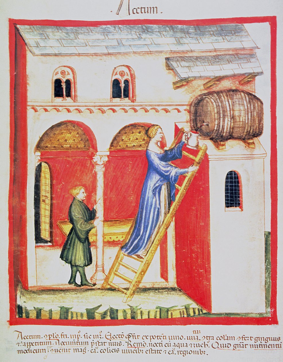 Fol.85v Vinagre, ilustración del Tacuinum Santiatis Codex Vindobonensis de Italian School