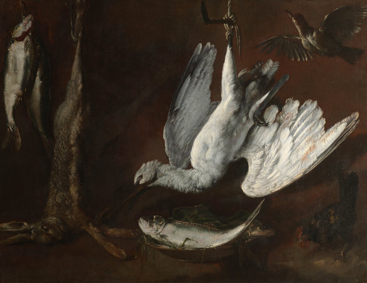 Liebre, Espátula y Pescado, mediados de 1600 de Italian School