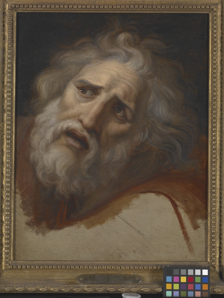 Cabeza de Laocoonte (óleo sobre lienzo) de Italian School
