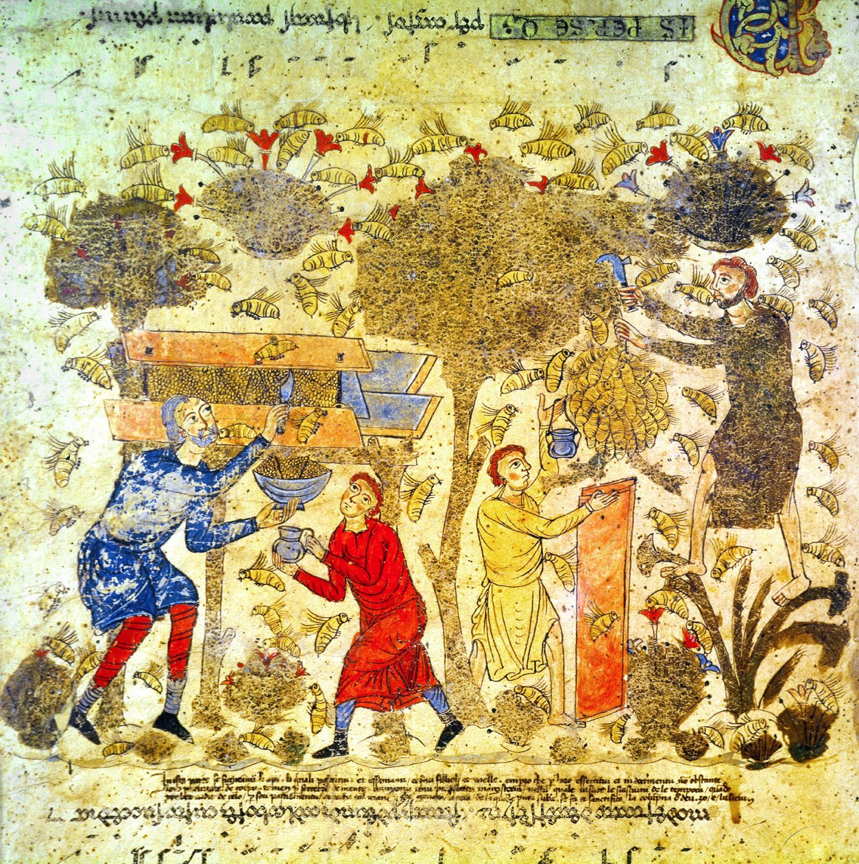 Cosecha de miel en Italia en el siglo XII de Italian School