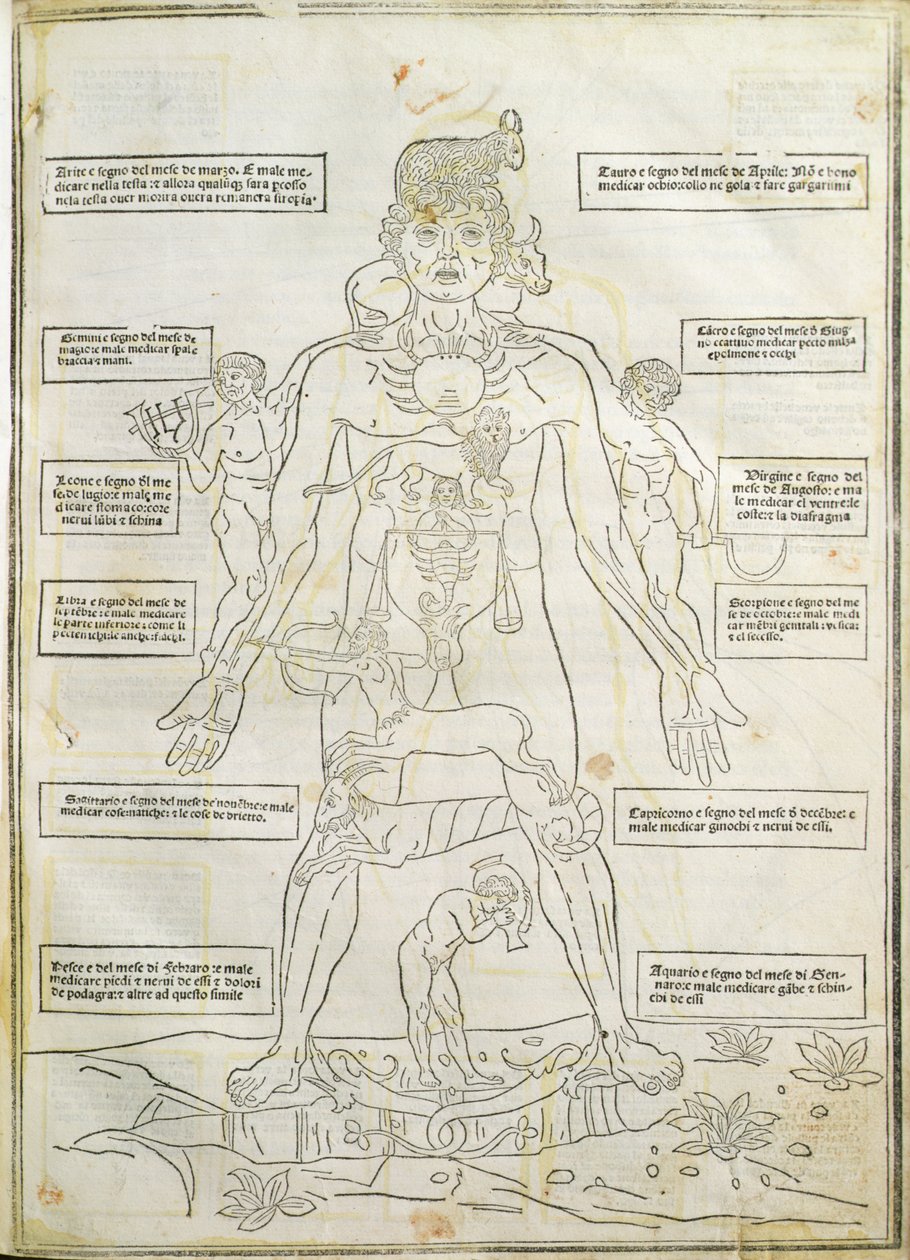 Ilustración de "Fasciculus medicinae" Venecia de Italian School