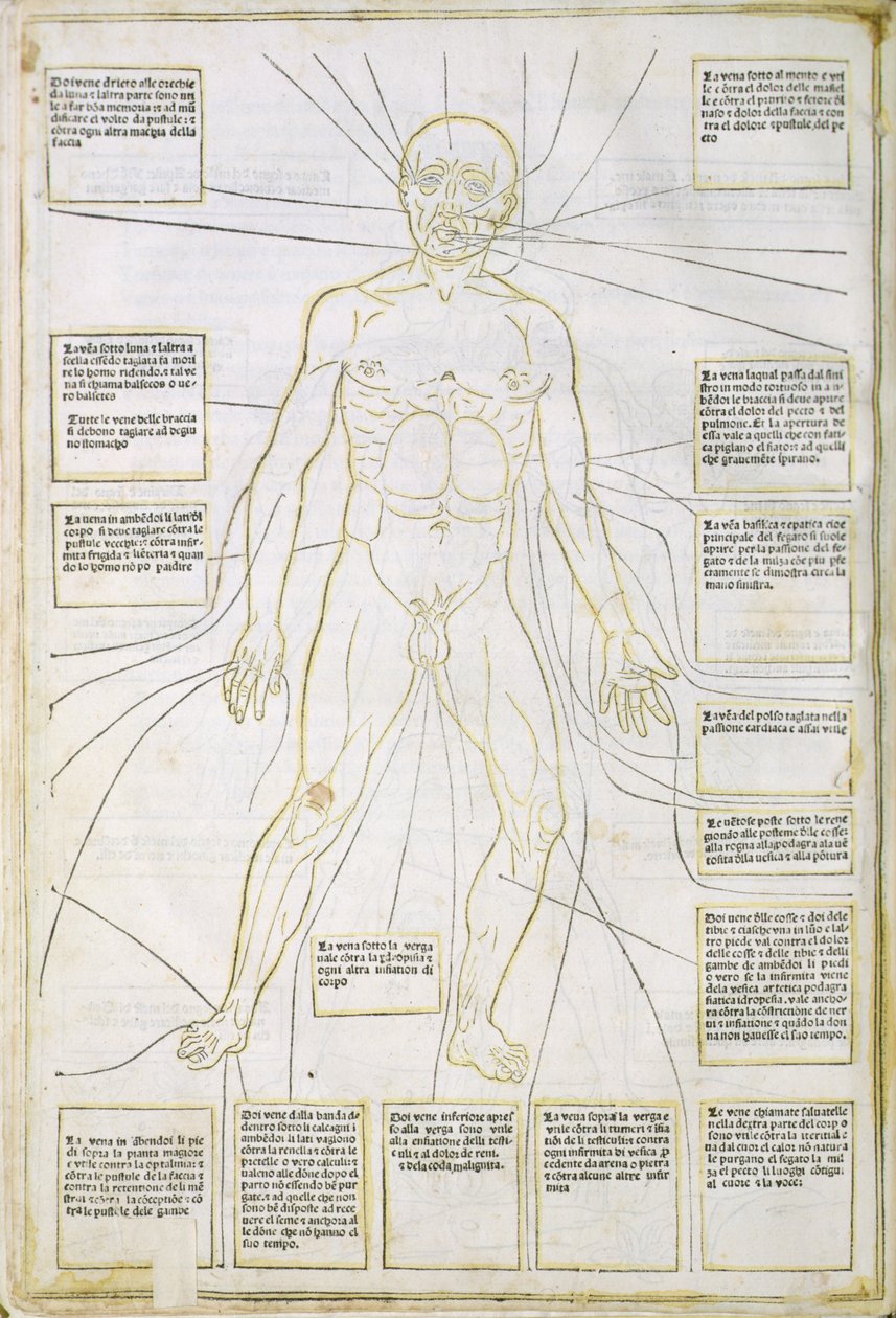 Ilustración de "Fasciculus medicinae" Venecia de Italian School