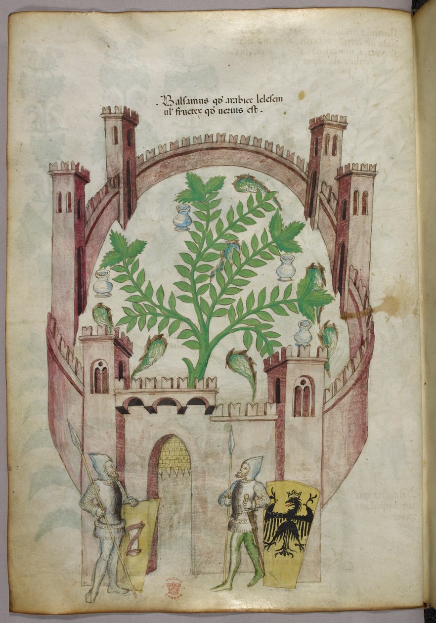 Ilustración del jardín balsámico de El Cairo (Fustat), con siete estanques de agua y tinajas para recoger el bálsamo, una planta en el centro, con dos caballeros con armadura flanqueando la puerta, con escudos con armas heráldicas, c. 1440 (tinta y color s de Italian School
