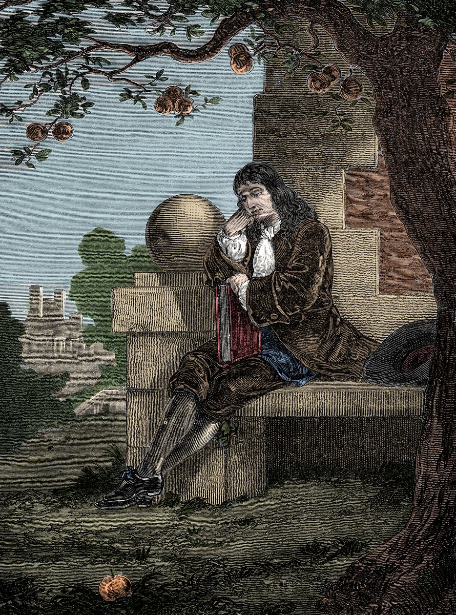 Isaac Newton observando una manzana caer al suelo mientras está sentado bajo un árbol de Italian School
