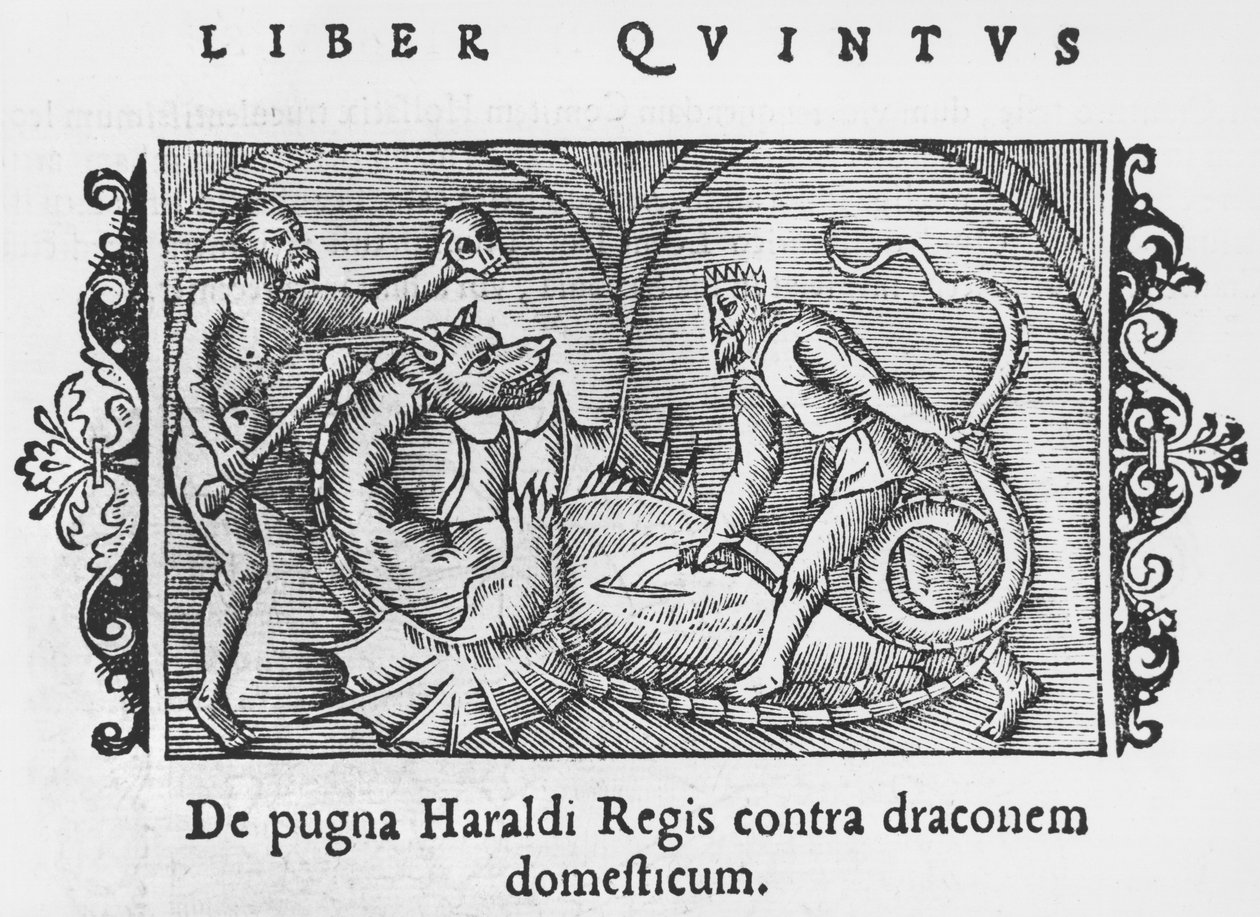 Rey Harald luchando contra un dragón, ilustración de Historia de Gentibus Septentrionalibus por Olaus Magnus, publicado en Roma, 1555 de Italian School