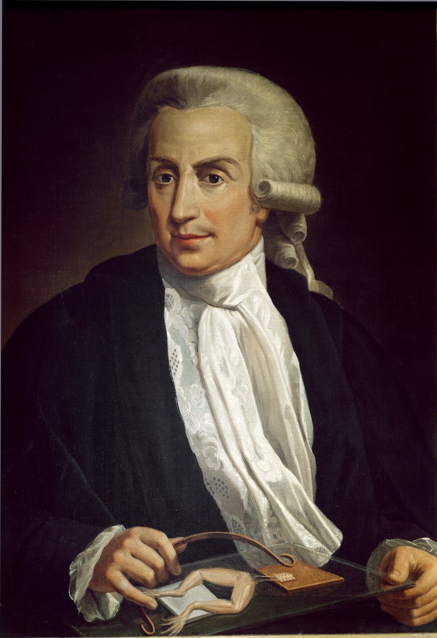 Luigi Galvani con espécimen de rana de Italian School