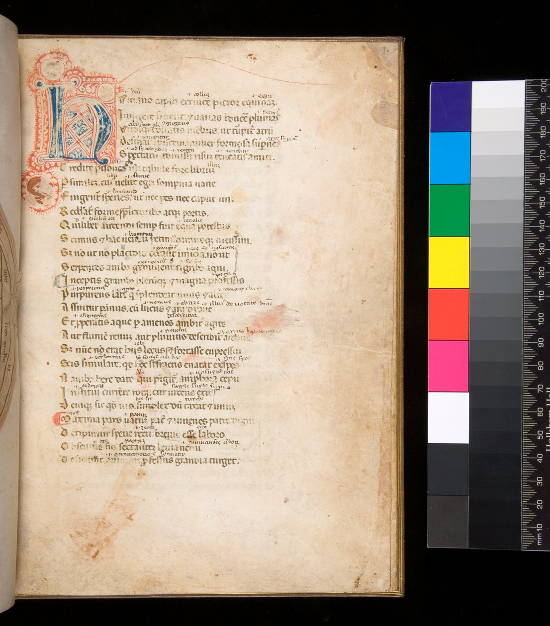 Ms 315. Horacio, Ars Poetica y Epistulae, f.1r. Inicial decorada [N] en relleno de cuadros azules y rojos y trabajo de pluma circundante en rojo de Italian School