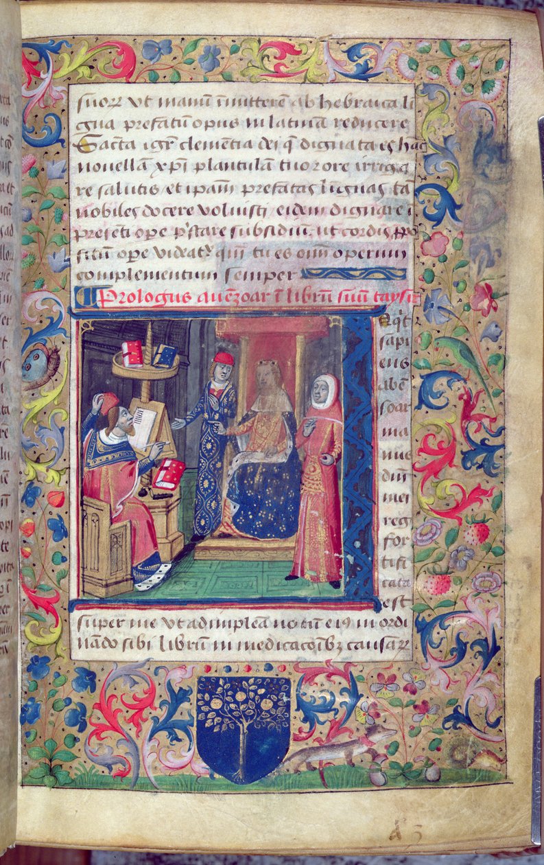 Ms 5113 Presentación de Juan de Capua (fl. 1262) a su mecenas de su traducción al latín de "Al-Taisir", tratado sobre las enfermedades de Ibn Zuhr (Avenzoar) (1091-1161) (vitela) de Italian School