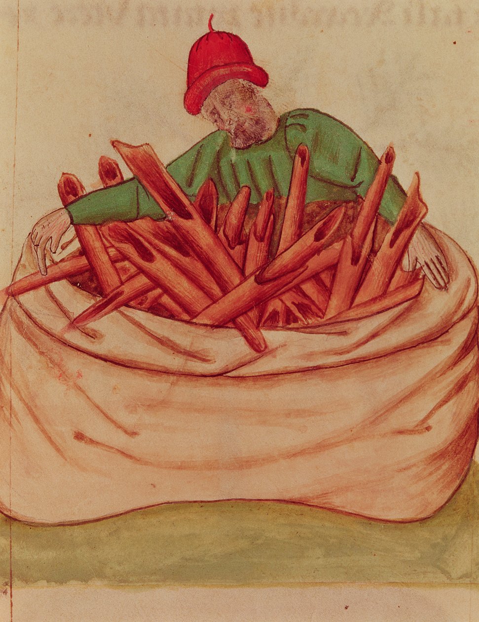 Ms Lat 993 L.9.28 Fol.36v Mercader de canela, del "Tractatus de Herbis" de Dioscórides (vitela) de Italian School