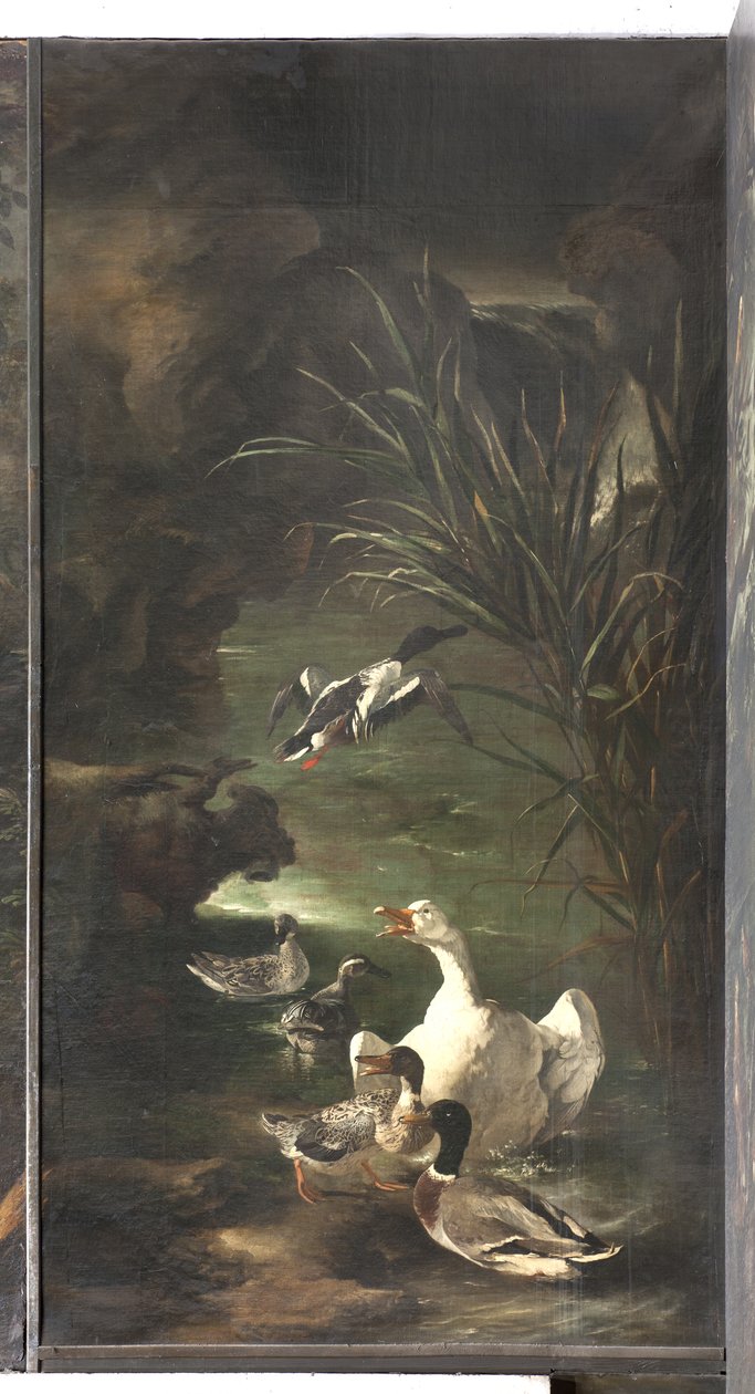 Mito de Orfeo: Cisne y Patos de Italian School