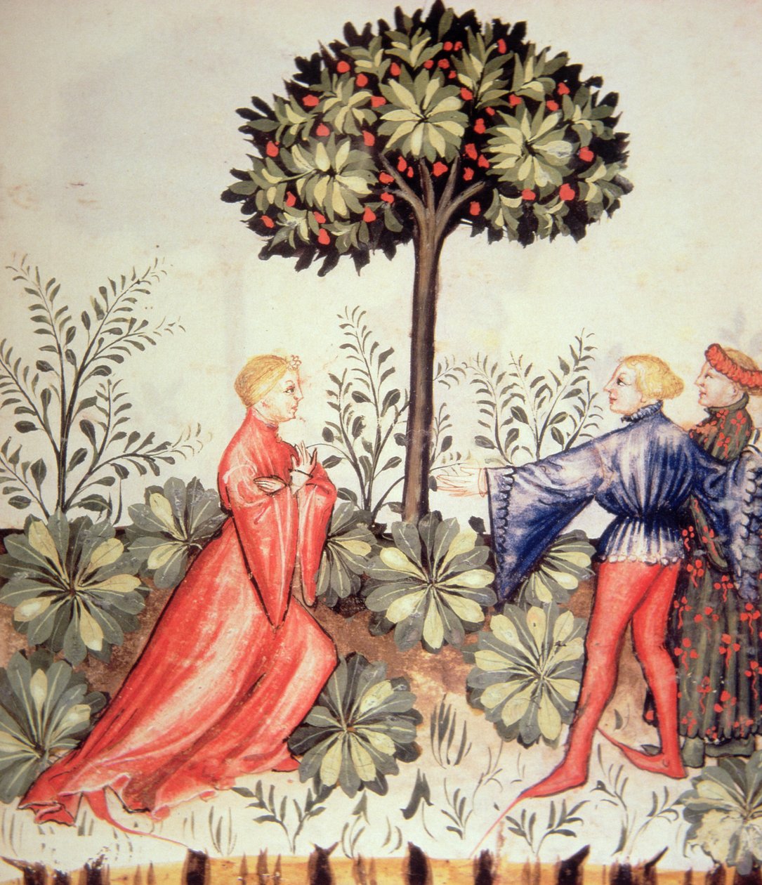 Cosecha de mostaza, de Tacuinum Sanitatis de Italian School