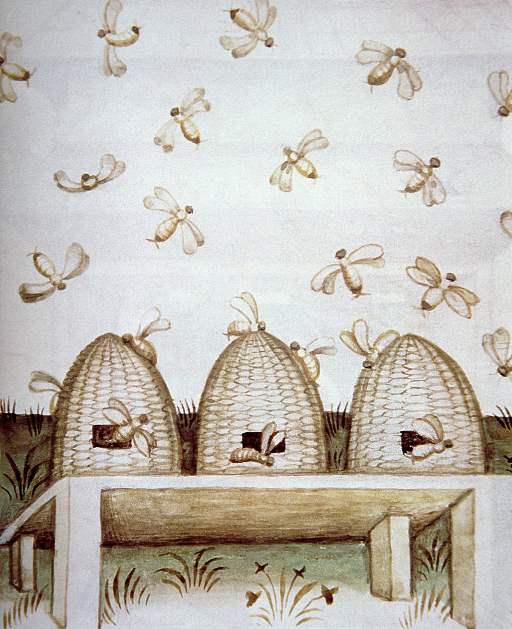 Colmenas, de Tacuinum Sanitatis de Italian School