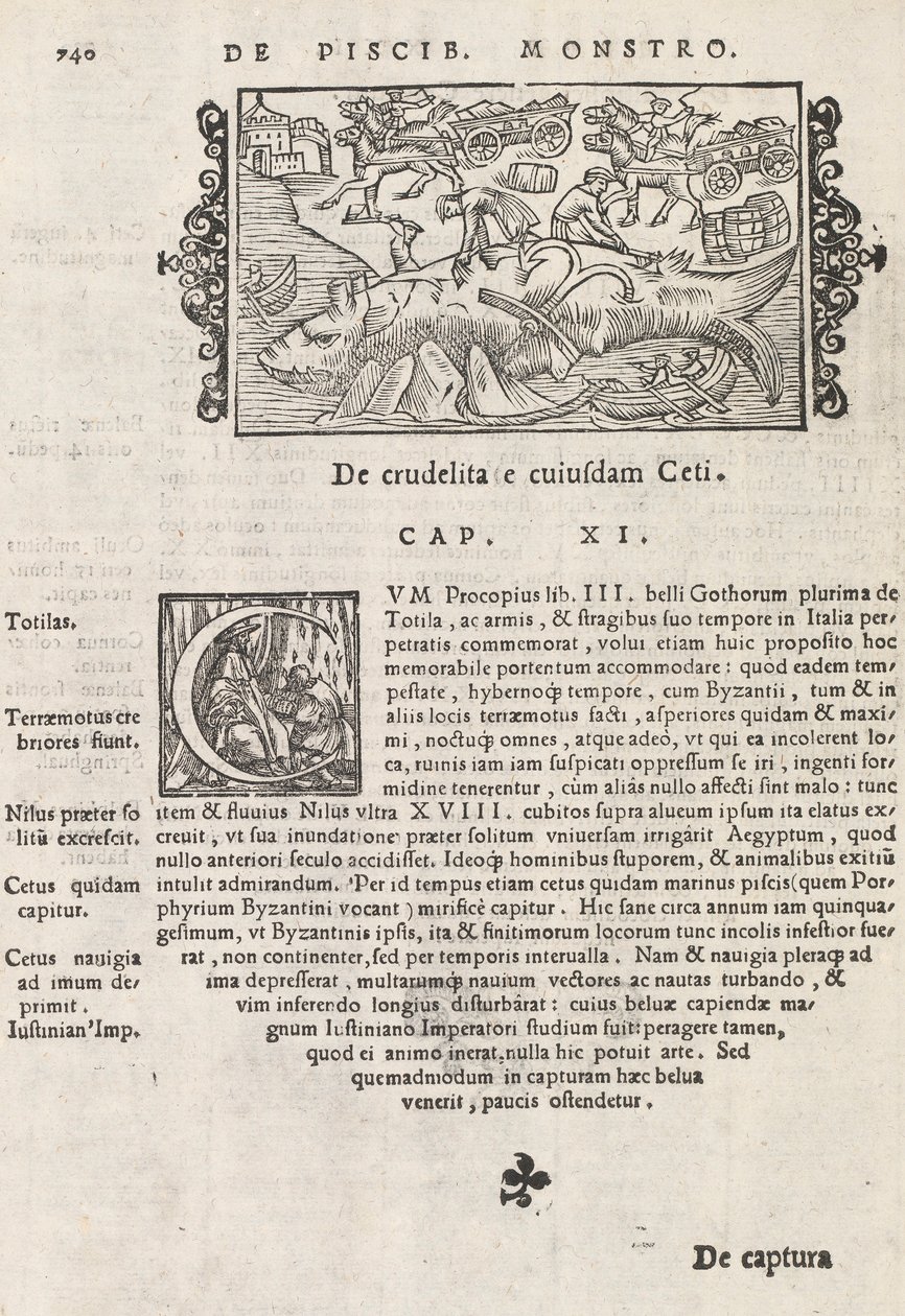 Página 740 de Historia De Gentivus Septentrionalibus por Magnus Olaus, Roma 1565 de Italian School