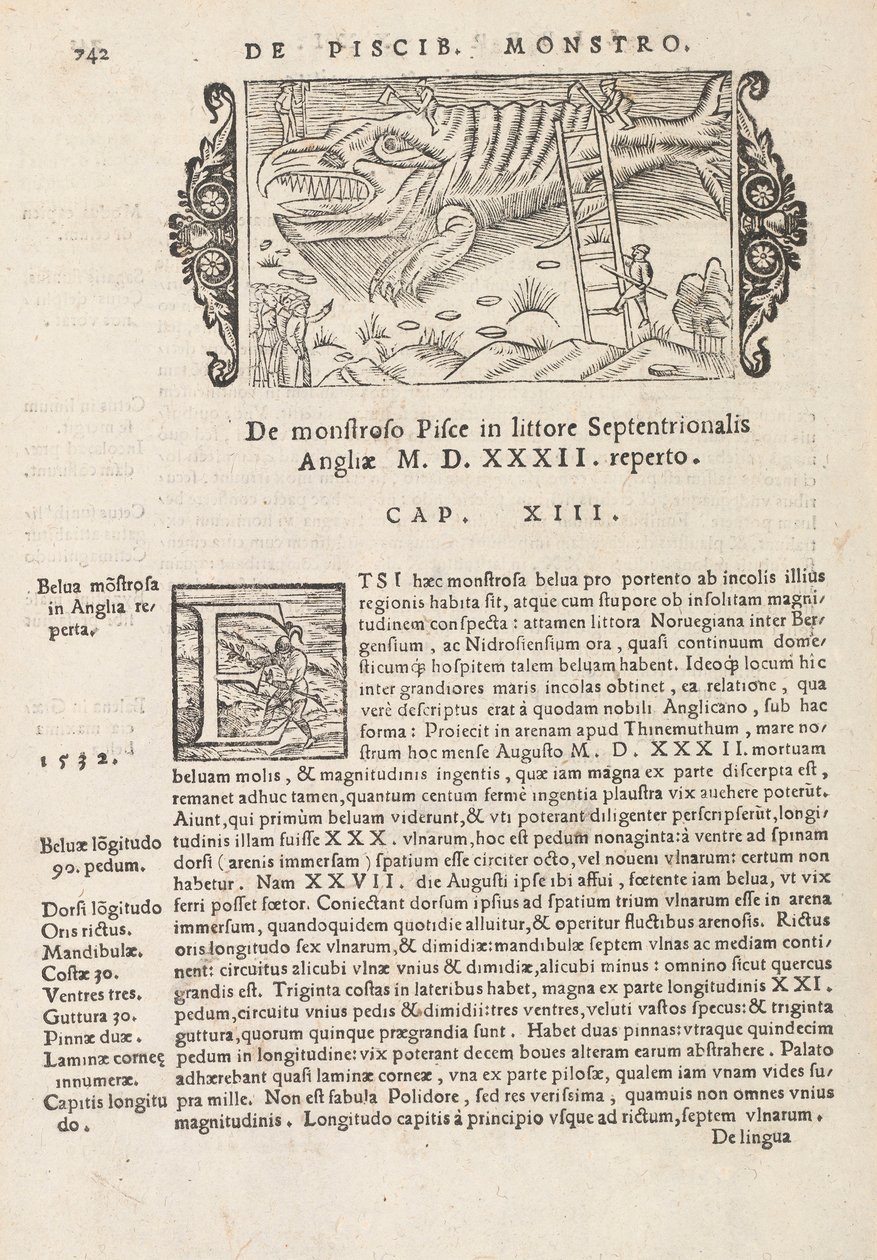 Página 742 de Historia De Gentivus Septentrionalibus por Magnus Olaus, Roma 1565 de Italian School