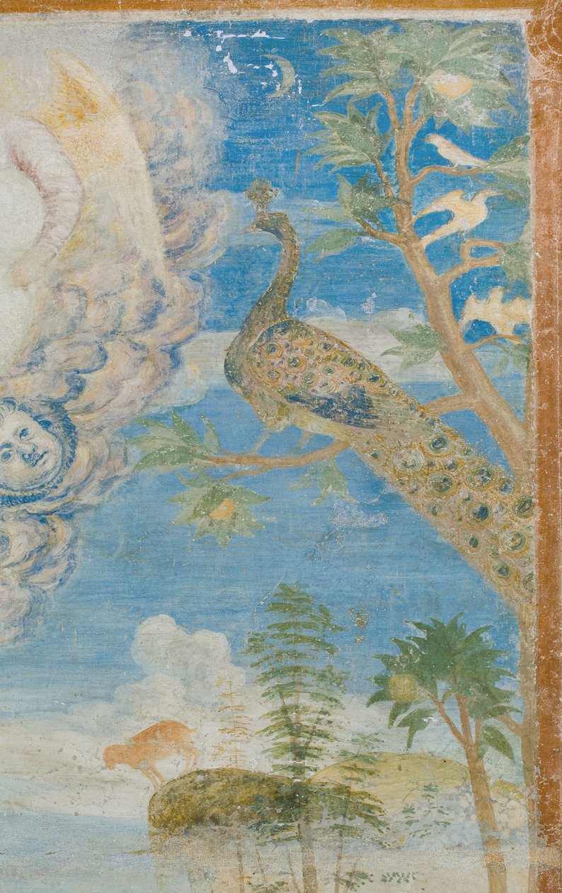 Pavo real (detalle) de Italian School