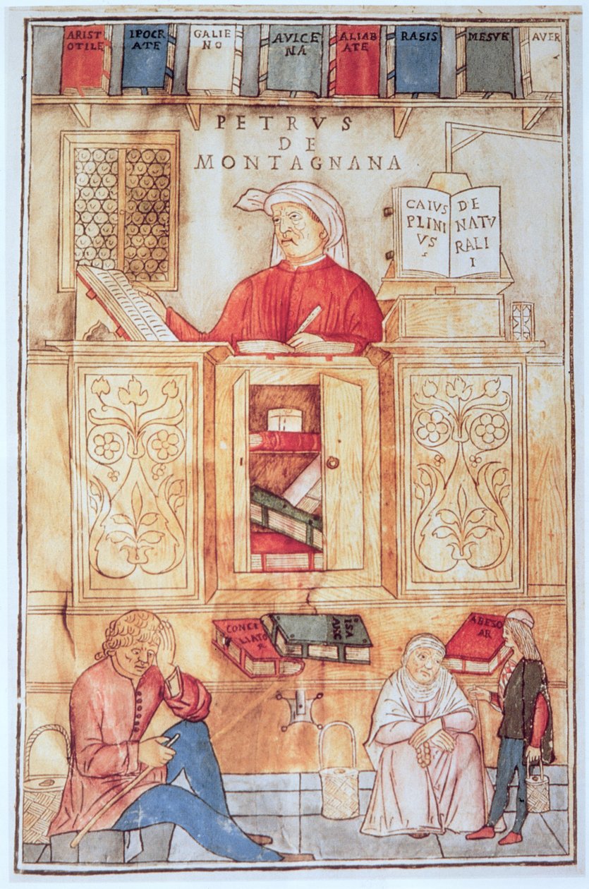 Petrus de Montagnana, ilustración del "Fasciculus Medicinae" de Jean de Ketham, publicado en Venecia en 1495 (xilografía coloreada) de Italian School