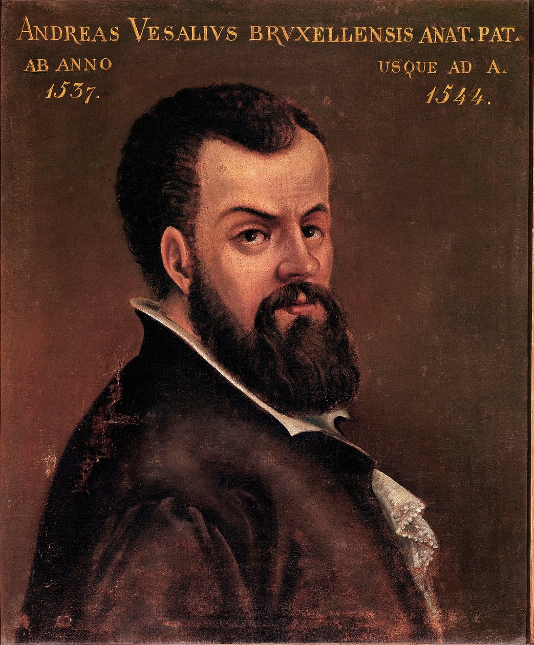 Retrato de André Vesale (Andreas Vesalius) (1514-1564), anatomista y médico de Carlos V. Pintura anónima de la escuela italiana. Siglo XVI Padua, Universidad de Italian School