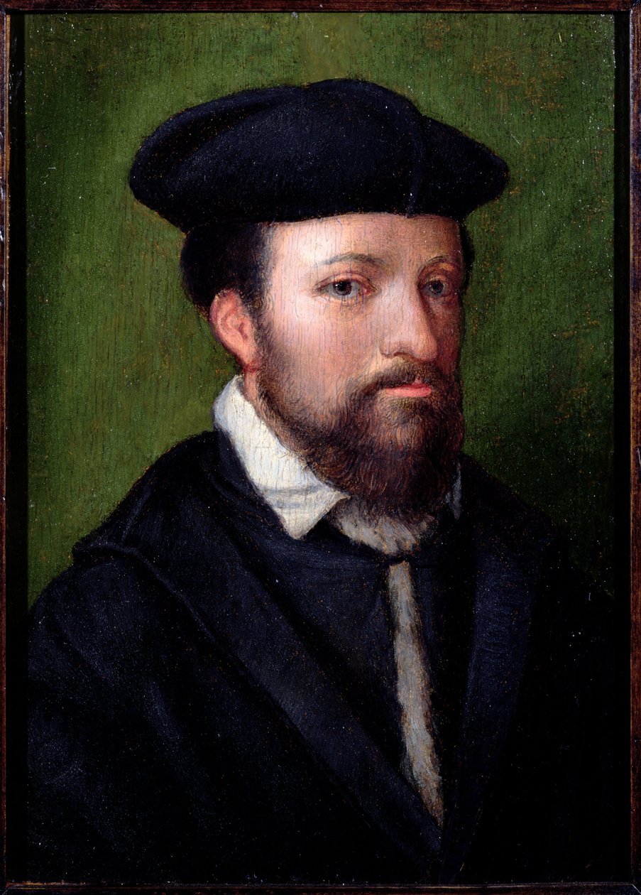 Retrato de un caballero, norte de Italia, mediados del siglo XVI de Italian School