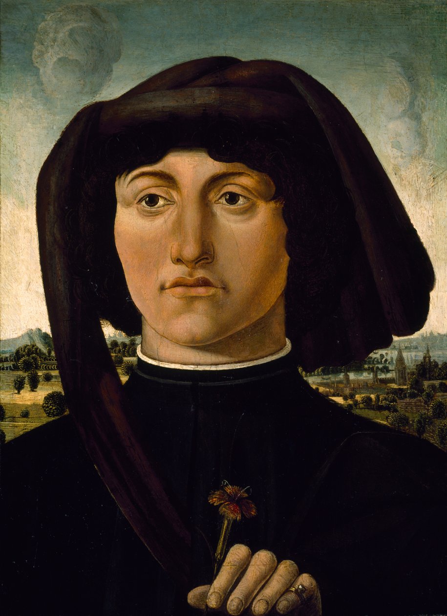 Retrato de un joven con una flor rosa, c.1475-85 (temple sobre madera) de Italian School