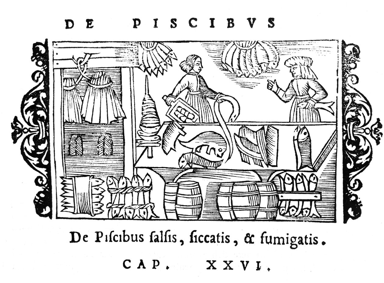 Salazón, secado y ahumado de pescado, ilustración de Historia de Gentibus Septentrionalibus de Olaus Magnus (1490-1558), publicada en Roma, 1555 de Italian School
