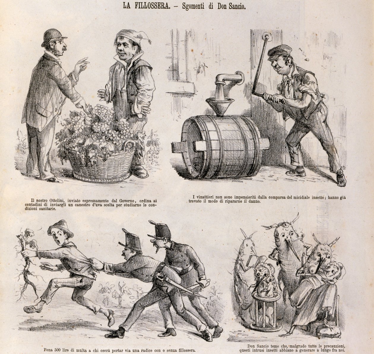 Caricatura satírica dedicada a la crisis vitivinícola causada por la filoxera, ilustración del periódico satírico Spirito Folletto, 18 de septiembre de Italian School