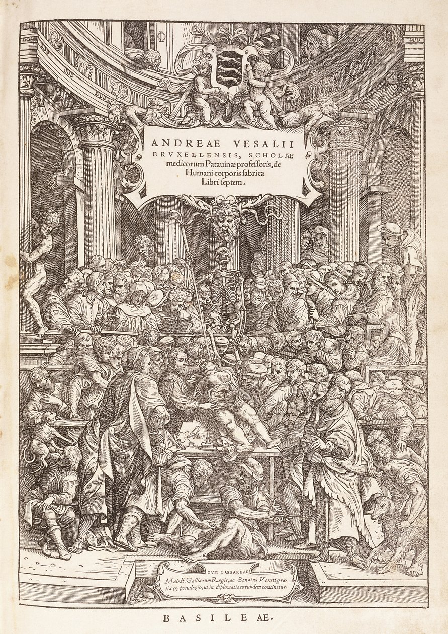 El autor realizando una disección anatómica en un teatro quirúrgico, 1543 de Italian School
