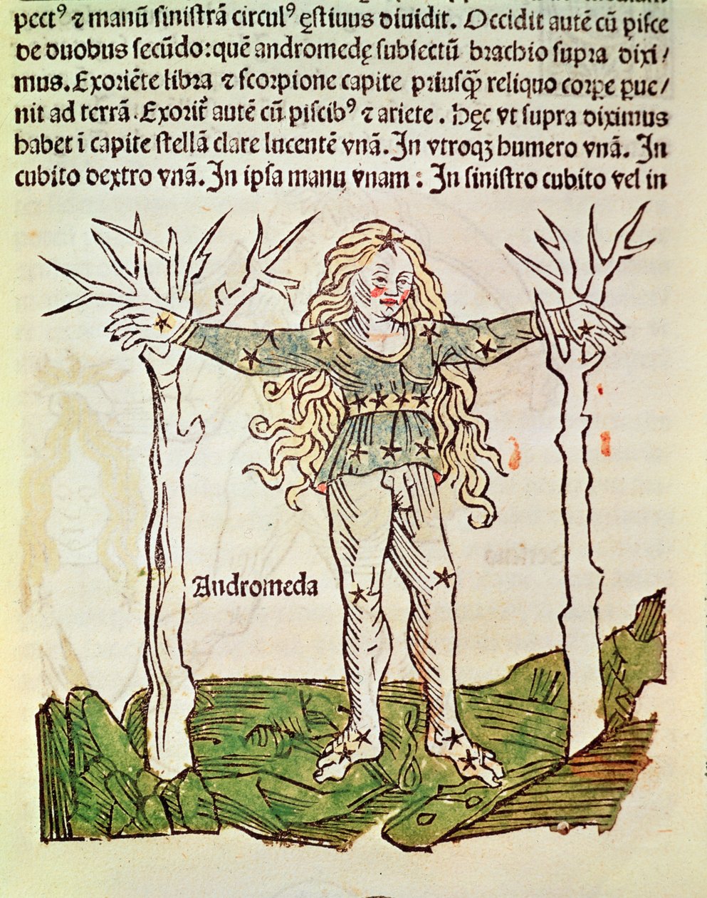 La Constelación de Andrómeda, una ilustración del 