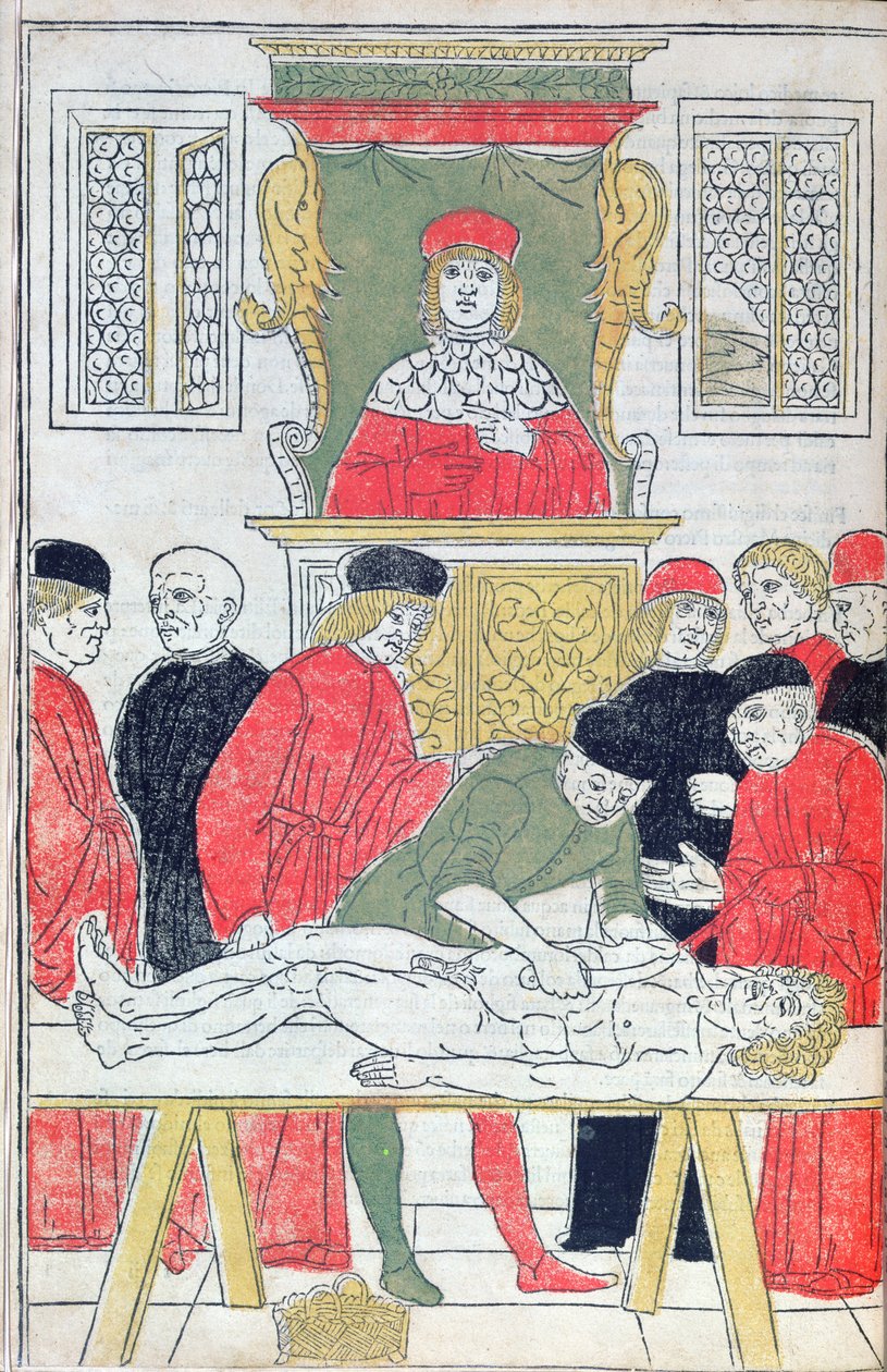 La disección, ilustración del "Fasciculus Medicinae" de Johannes de Ketham (d.c.1490) 1493 (xilografía) de Italian School