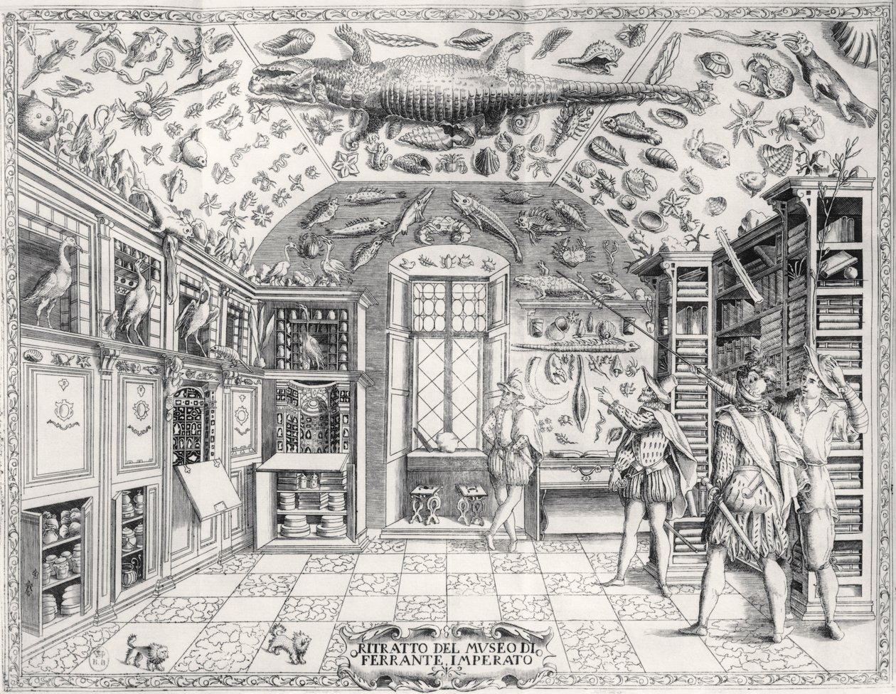 El Museo de Historia Natural del Emperador Fernando III de Historia Naturale por Ferrante Imperato (1550-1631) pub. en 1672 de Italian School