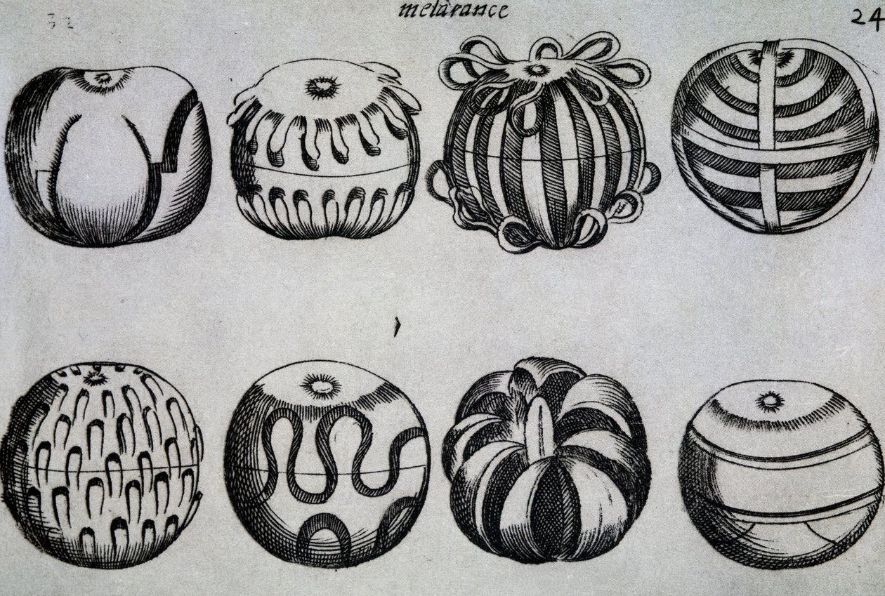 Formas de cortar fruta, Ilustración de Li tre trattati di messer Mattia Giegher bavaro di Mosburc, Trinciante dell