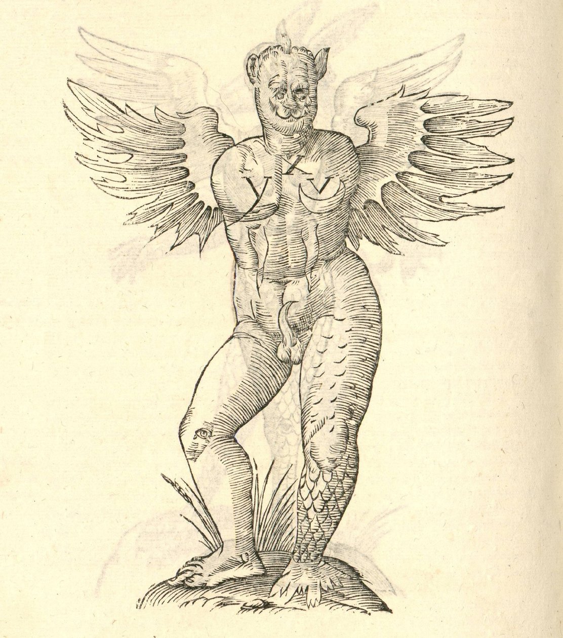 Ilustración de Monstrum cornutum, and alatum aliud de Historia de Monstruos de Aldrovandi, 1642 de Italian School