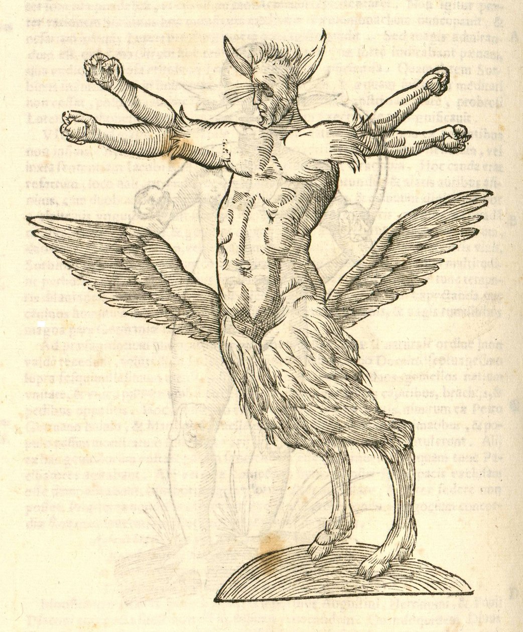 Ilustración de Monstrum tetrachiron alatum capite humano aurito de Historia de Monstruos de Aldrovandi, 1642 de Italian School