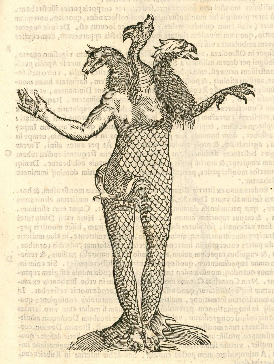 Ilustración de Monstrum triceps capite Vulpis, Draconis, & Aquilae de Historia de Monstruos de Aldrovandi, 1642 de Italian School