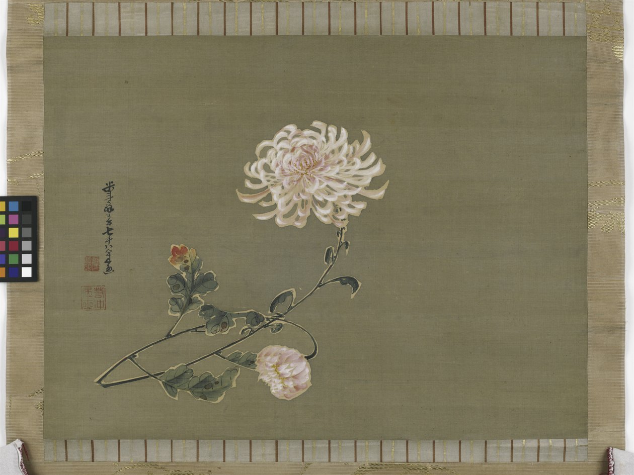 Crisantemo, Periodo Edo, 1791 de Ito Jakuchu